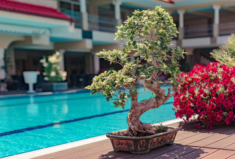 Vox Maris Grand Resort (Adults Only) Costinesti Exterior photo