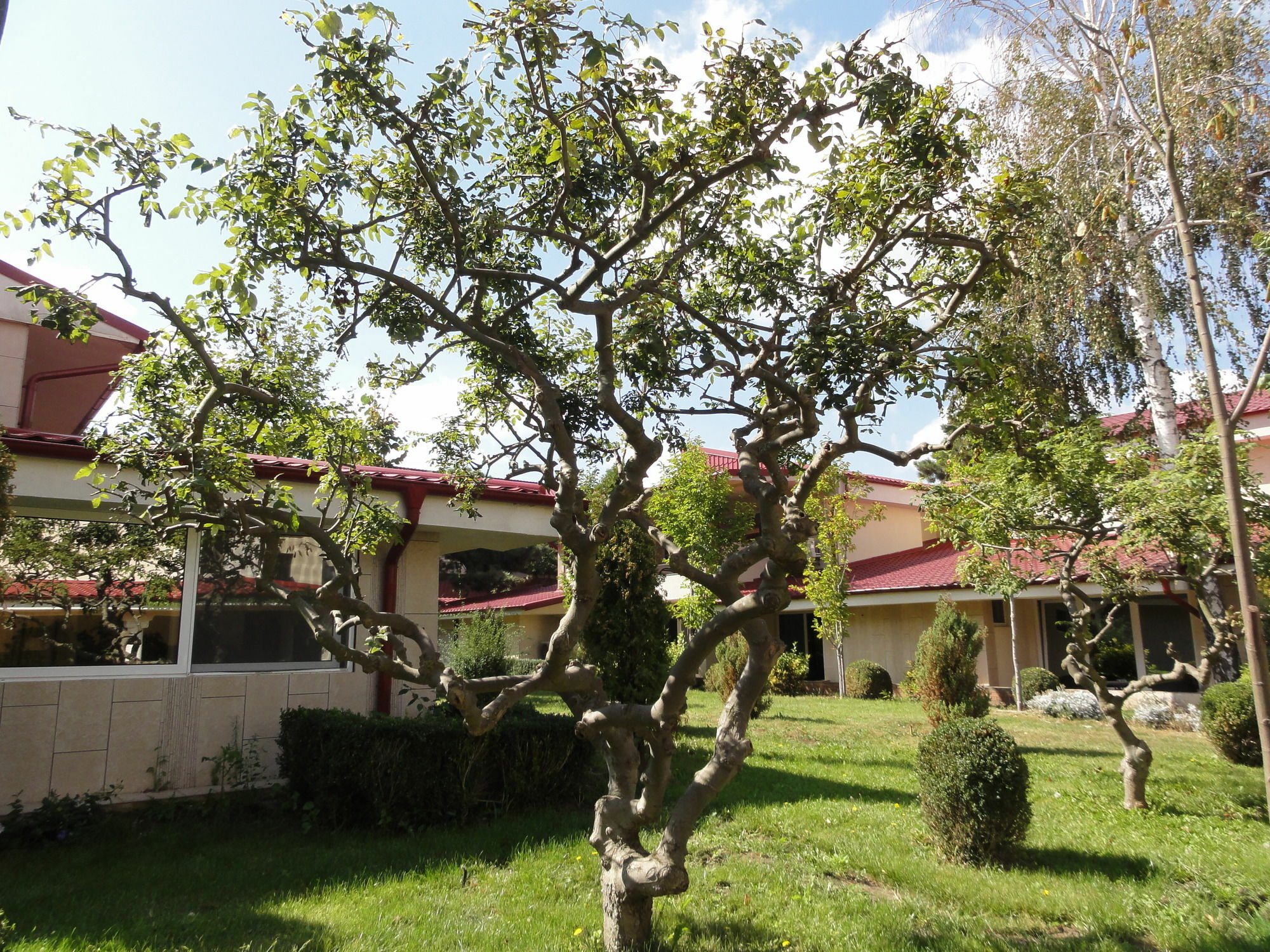 Vox Maris Grand Resort (Adults Only) Costinesti Exterior photo